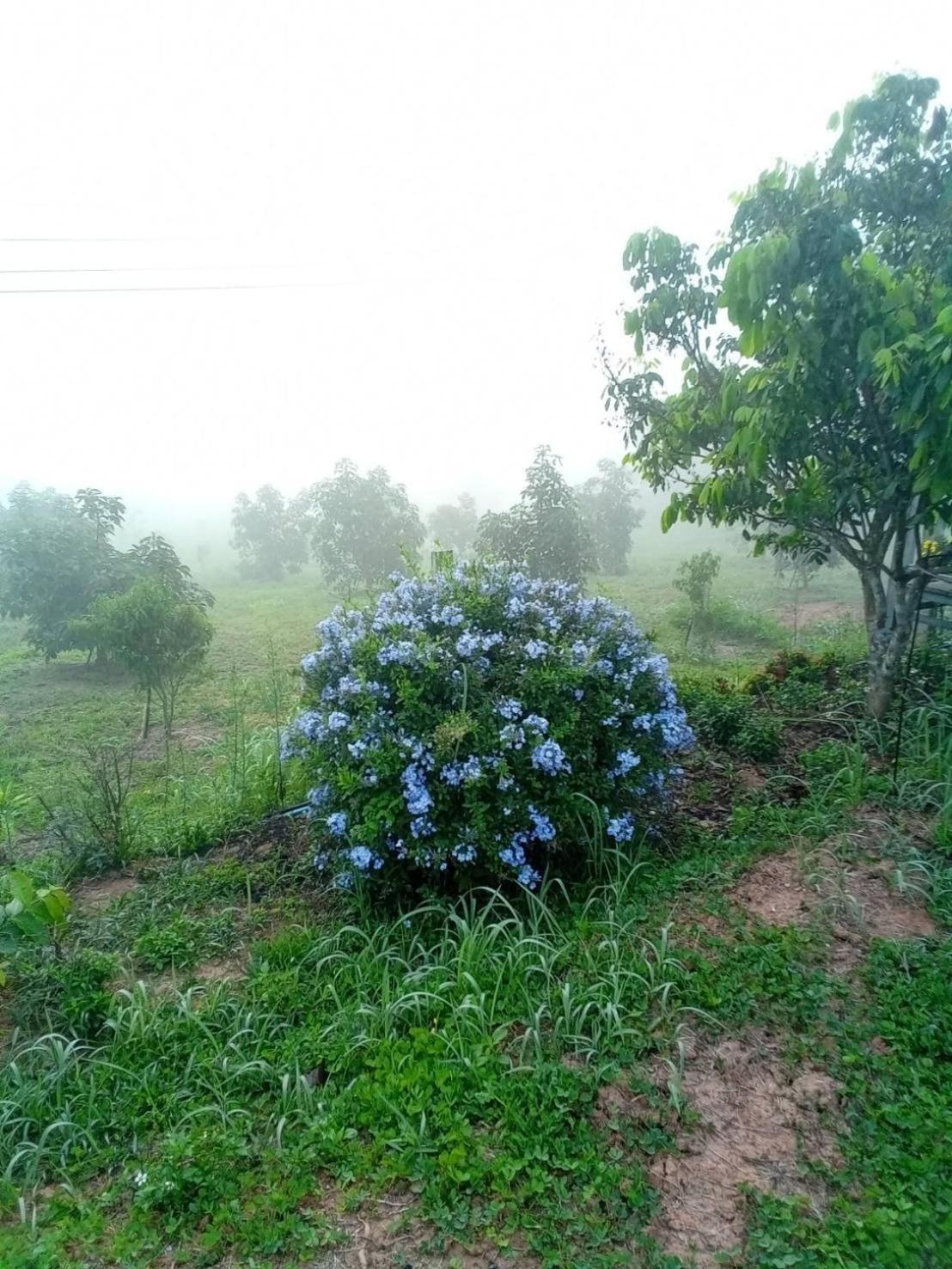Phu Aram Khao Kho Resort Exterior foto