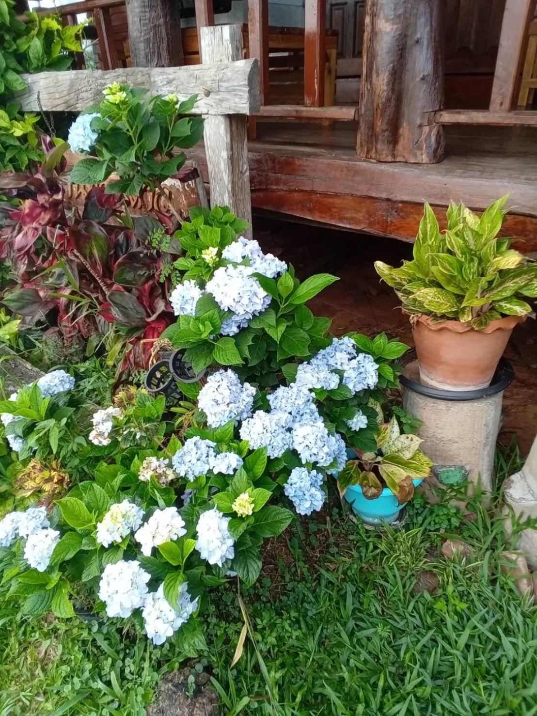 Phu Aram Khao Kho Resort Exterior foto