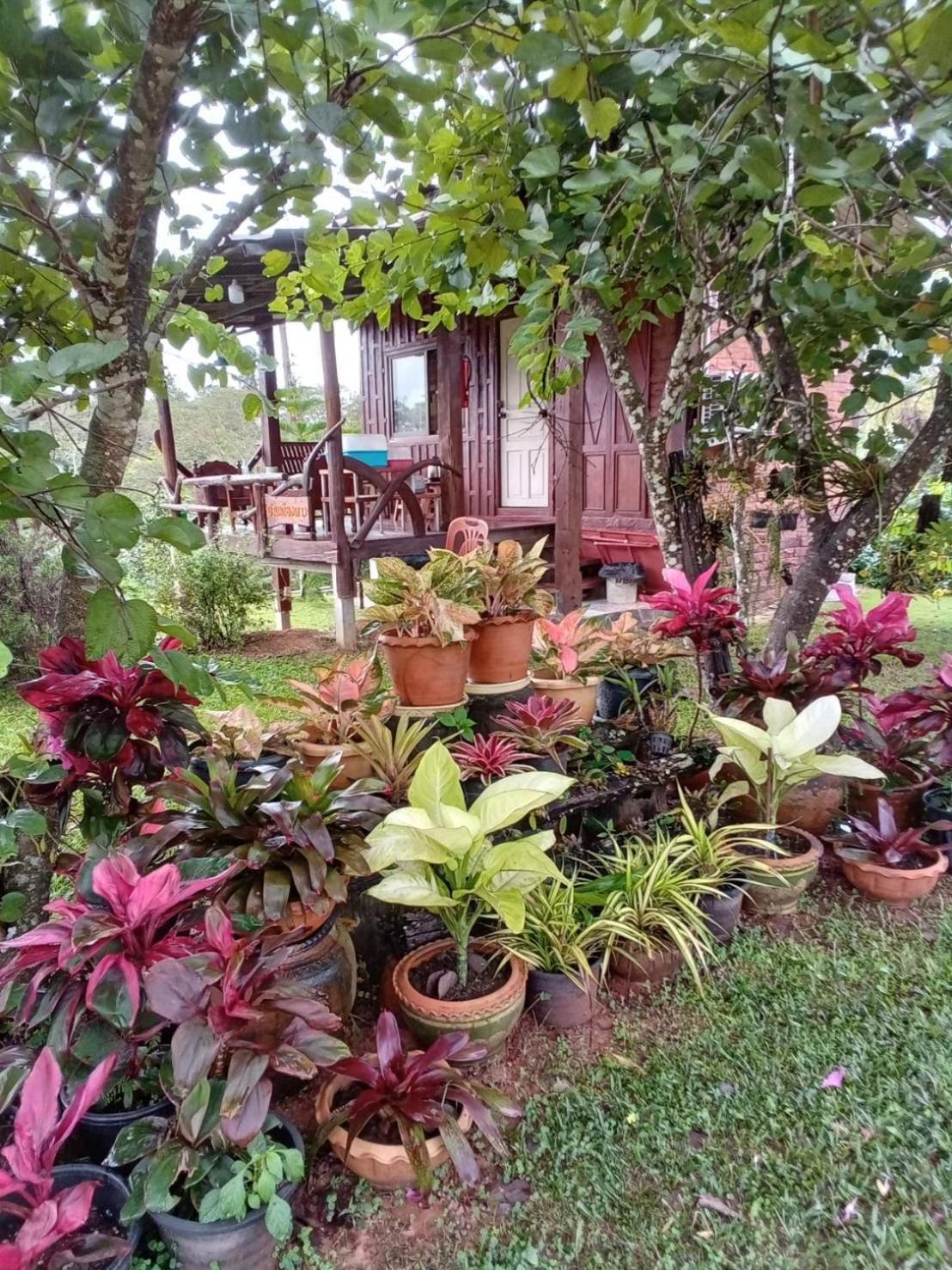 Phu Aram Khao Kho Resort Exterior foto